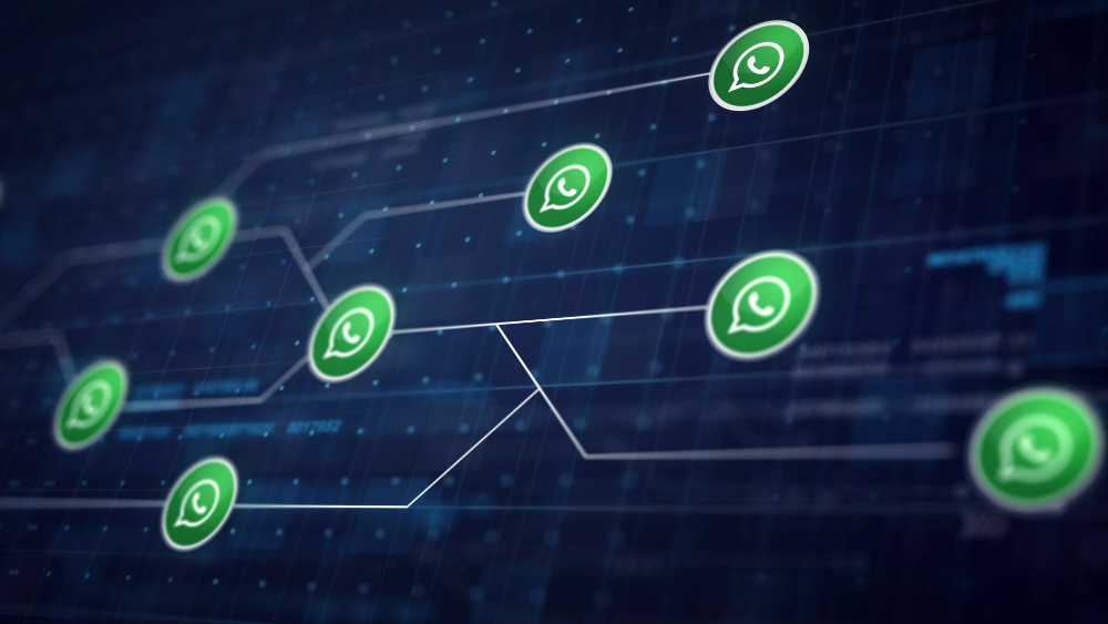 Como criar um chatbot para WhatsApp: guia completo do zero